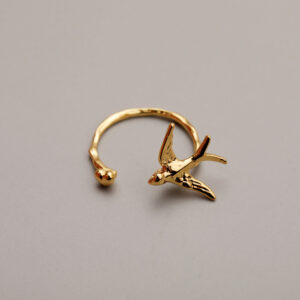 Bird Flying Ring